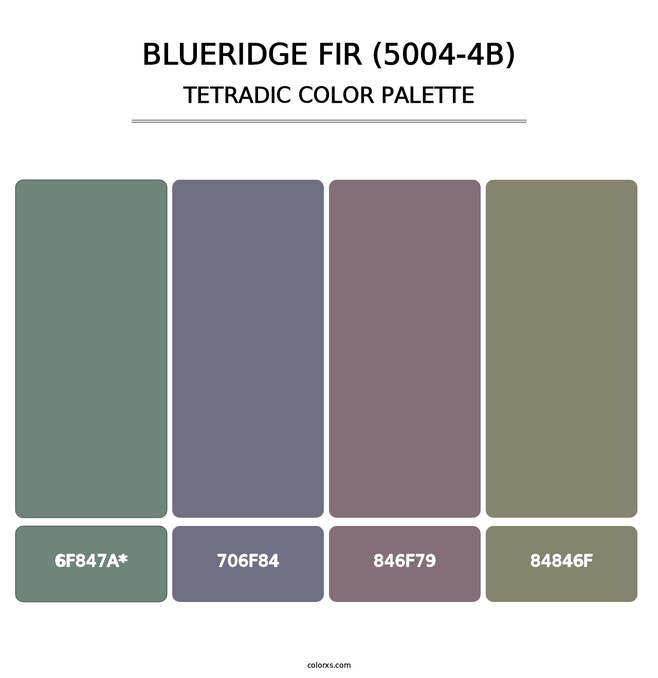 Blueridge Fir (5004-4B) - Tetradic Color Palette