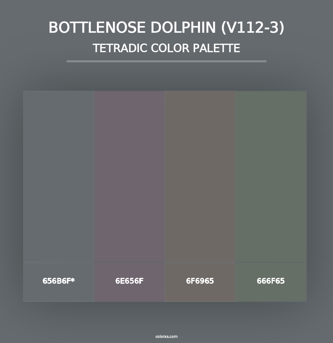 Bottlenose Dolphin (V112-3) - Tetradic Color Palette