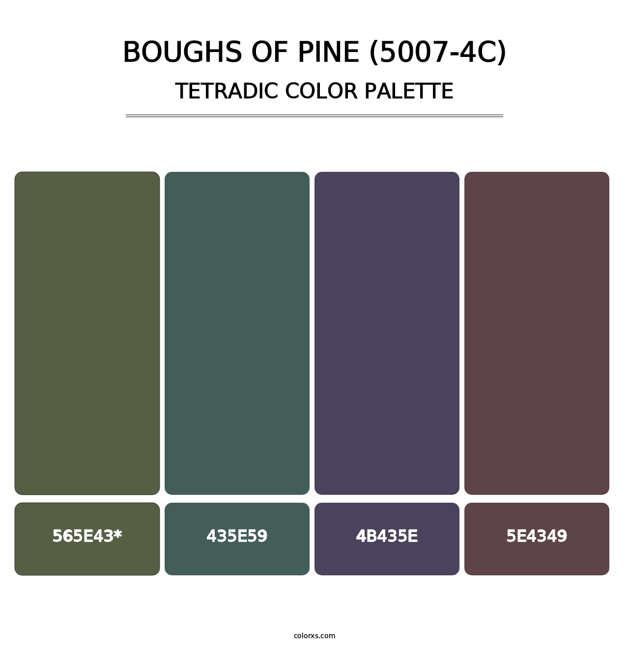 Boughs of Pine (5007-4C) - Tetradic Color Palette