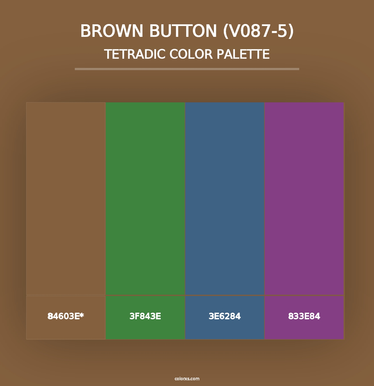 Brown Button (V087-5) - Tetradic Color Palette