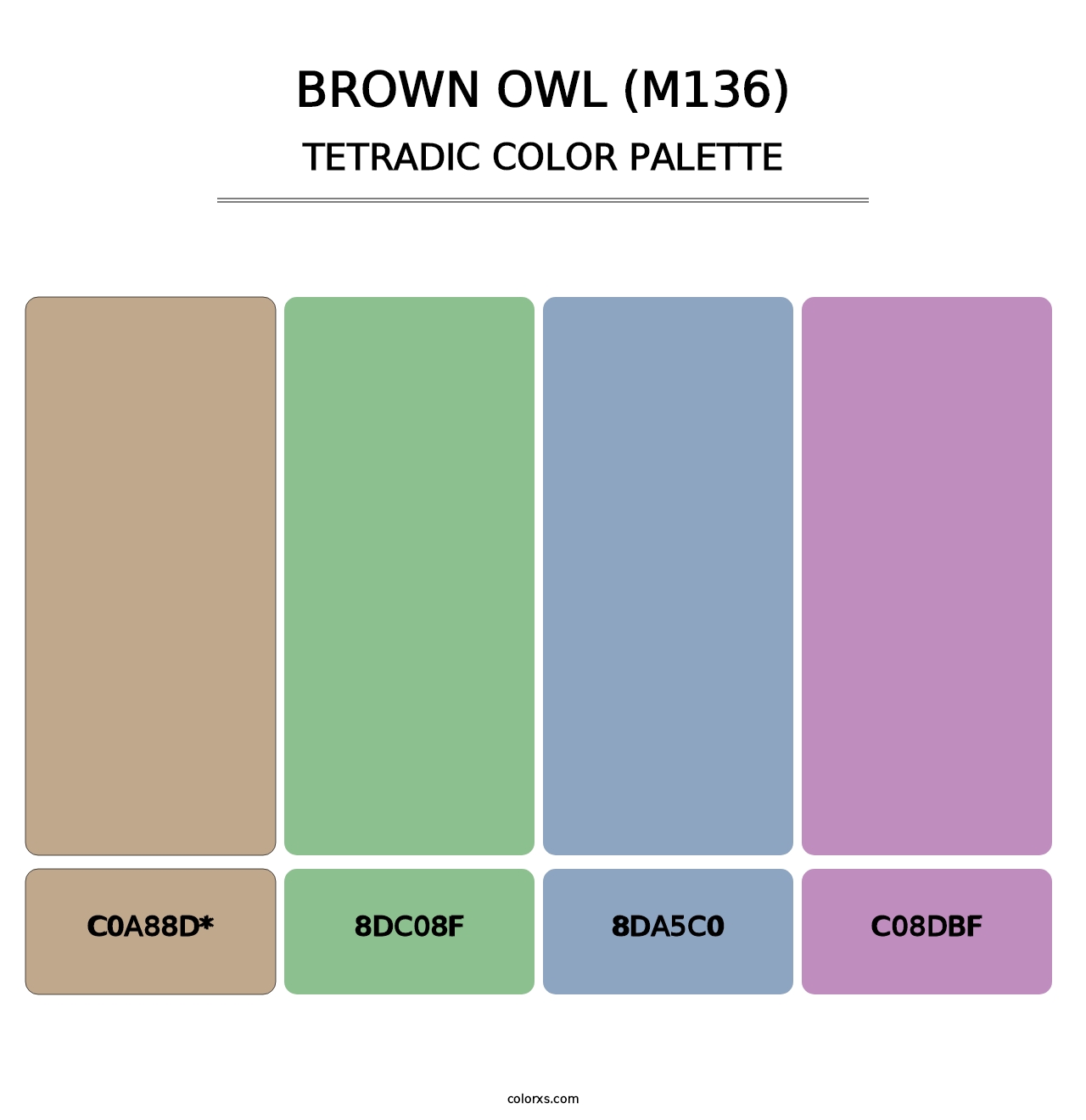 Brown Owl (M136) - Tetradic Color Palette