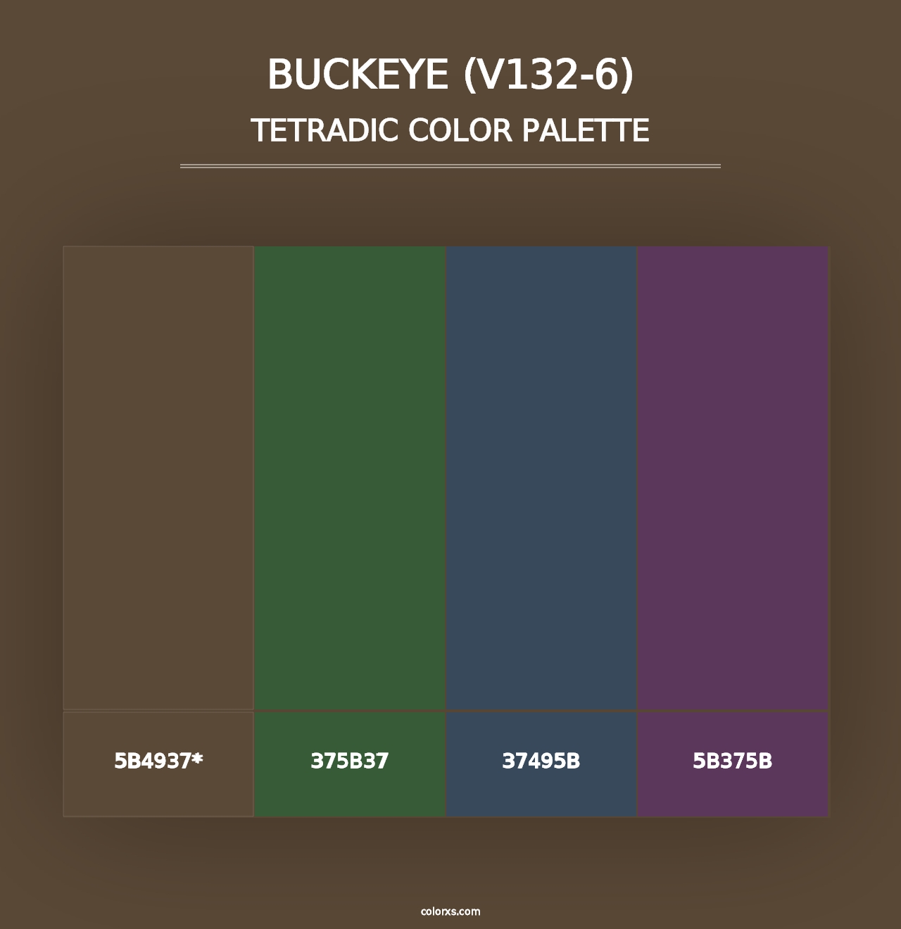 Buckeye (V132-6) - Tetradic Color Palette