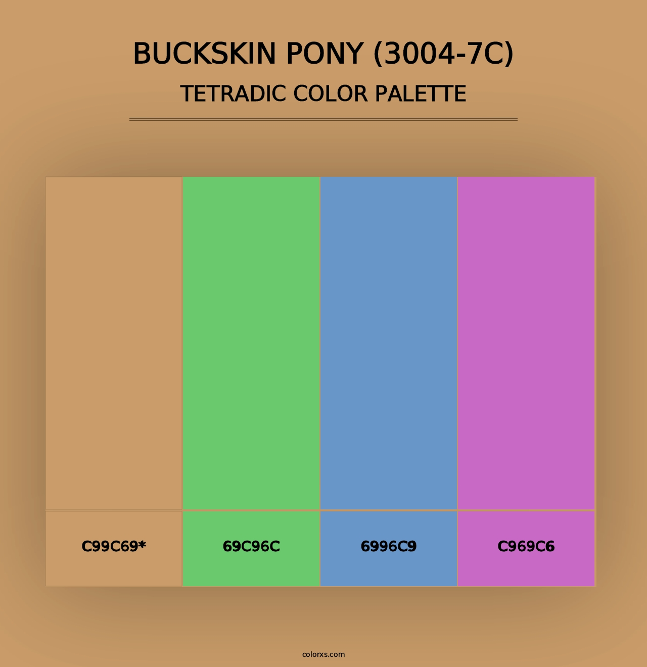 Buckskin Pony (3004-7C) - Tetradic Color Palette