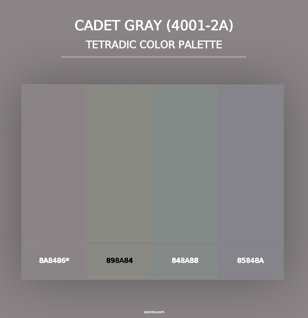 Cadet Gray (4001-2A) - Tetradic Color Palette