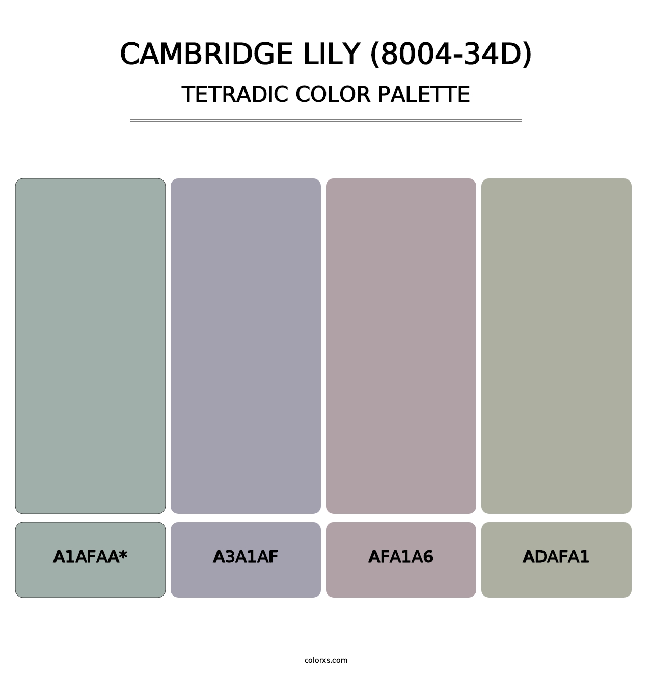 Cambridge Lily (8004-34D) - Tetradic Color Palette