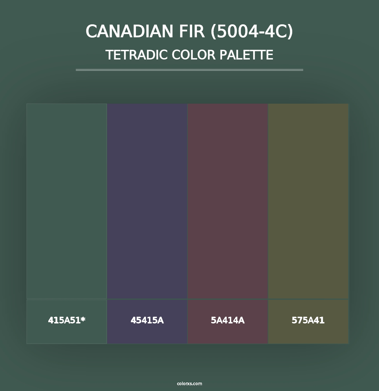 Canadian Fir (5004-4C) - Tetradic Color Palette