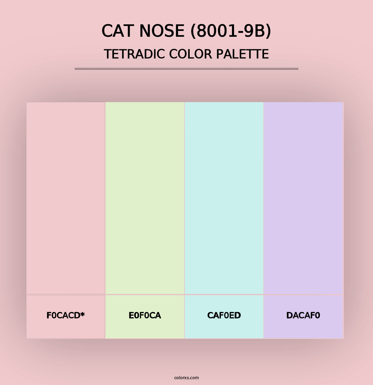 Cat Nose (8001-9B) - Tetradic Color Palette