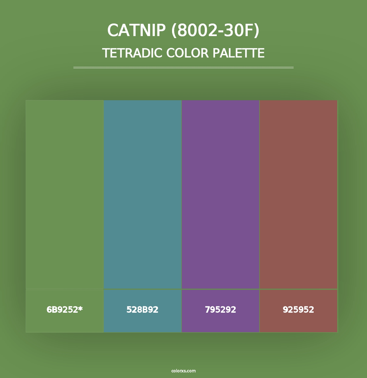 Catnip (8002-30F) - Tetradic Color Palette