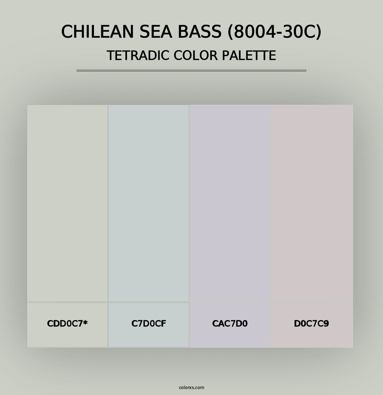 Chilean Sea Bass (8004-30C) - Tetradic Color Palette