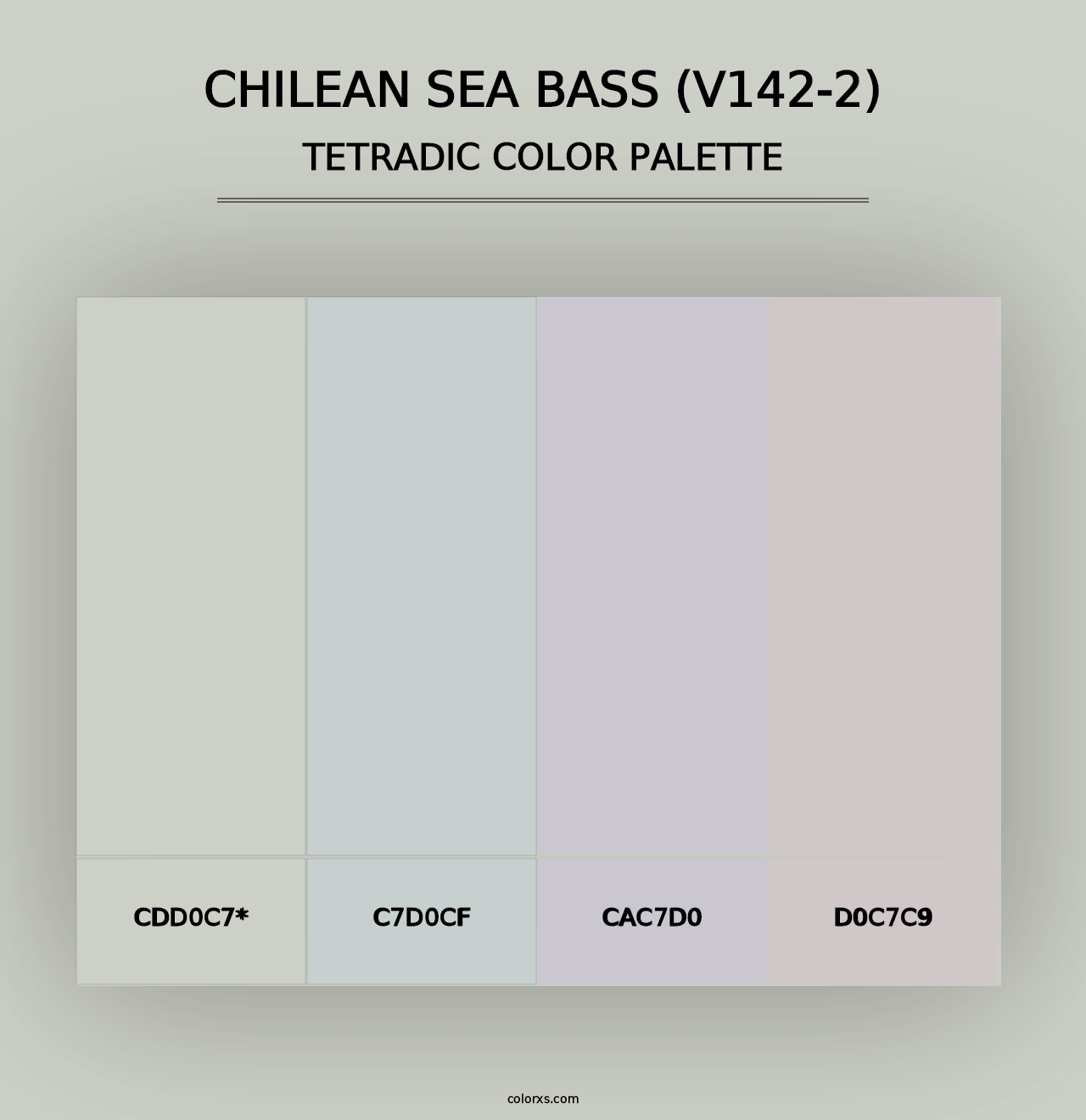 Chilean Sea Bass (V142-2) - Tetradic Color Palette