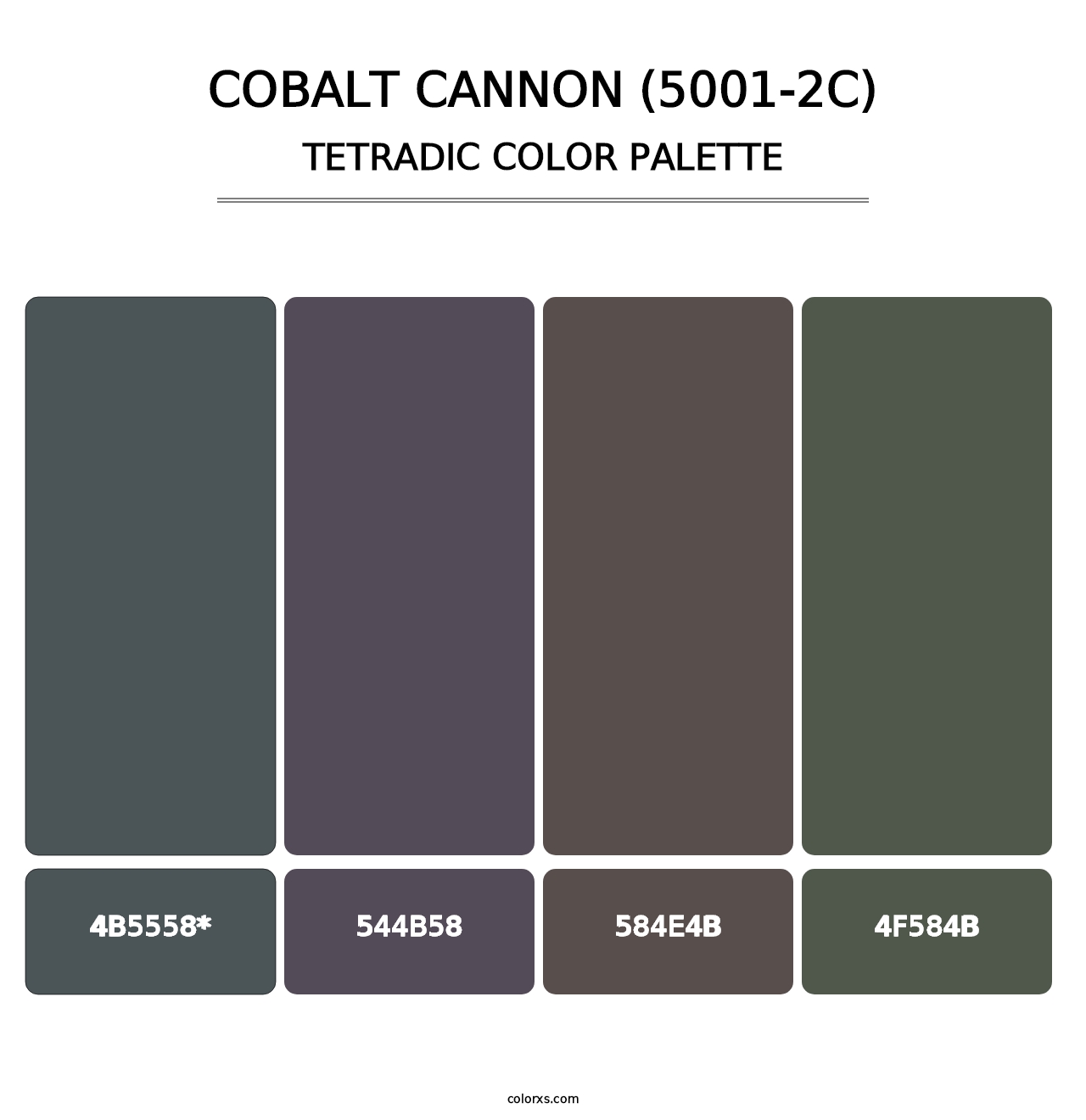 Cobalt Cannon (5001-2C) - Tetradic Color Palette