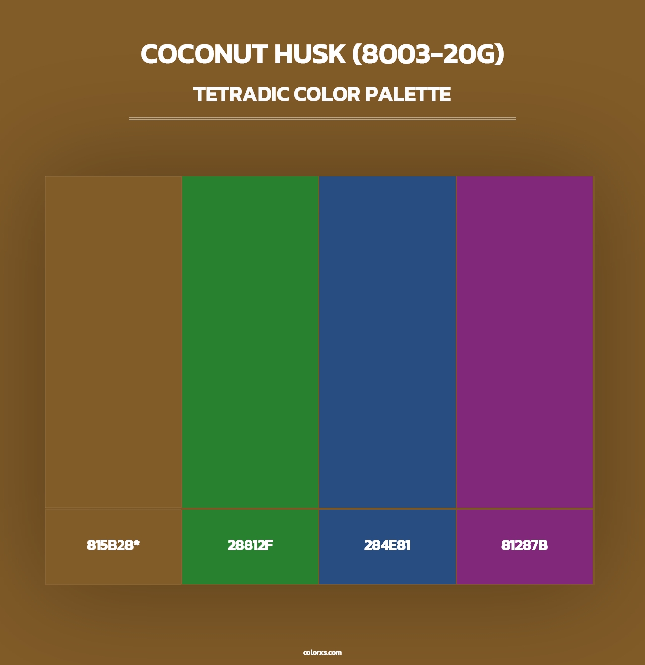 Coconut Husk (8003-20G) - Tetradic Color Palette