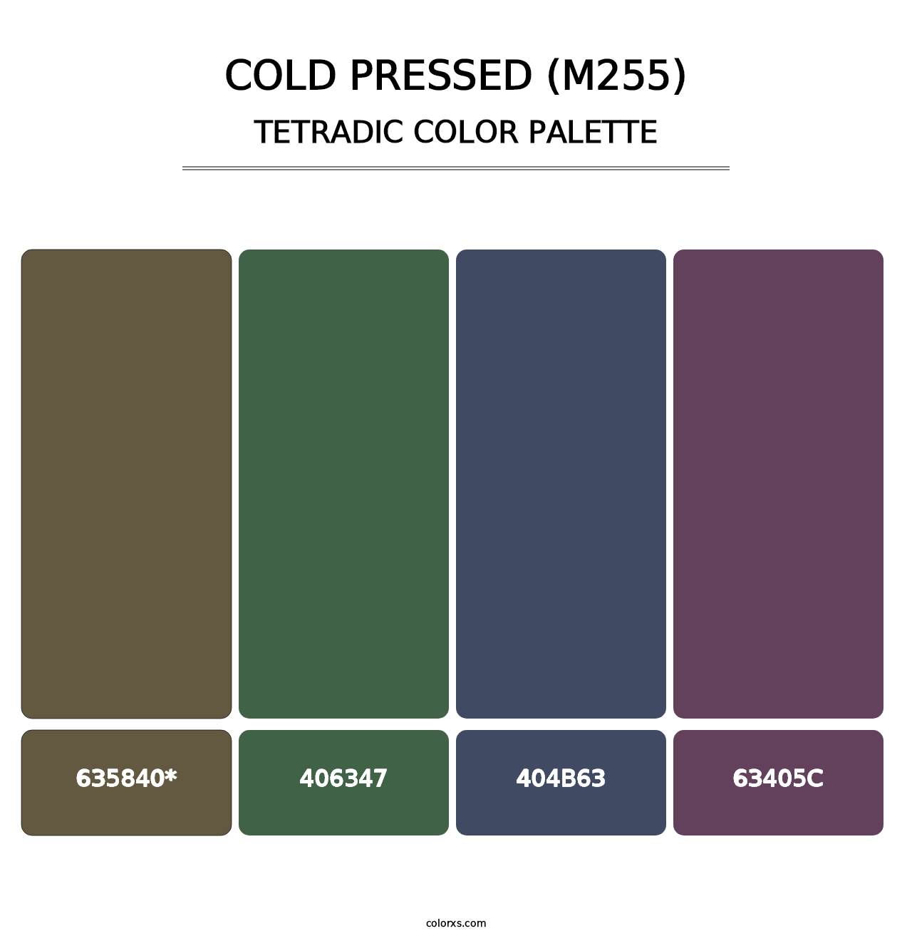 Cold Pressed (M255) - Tetradic Color Palette