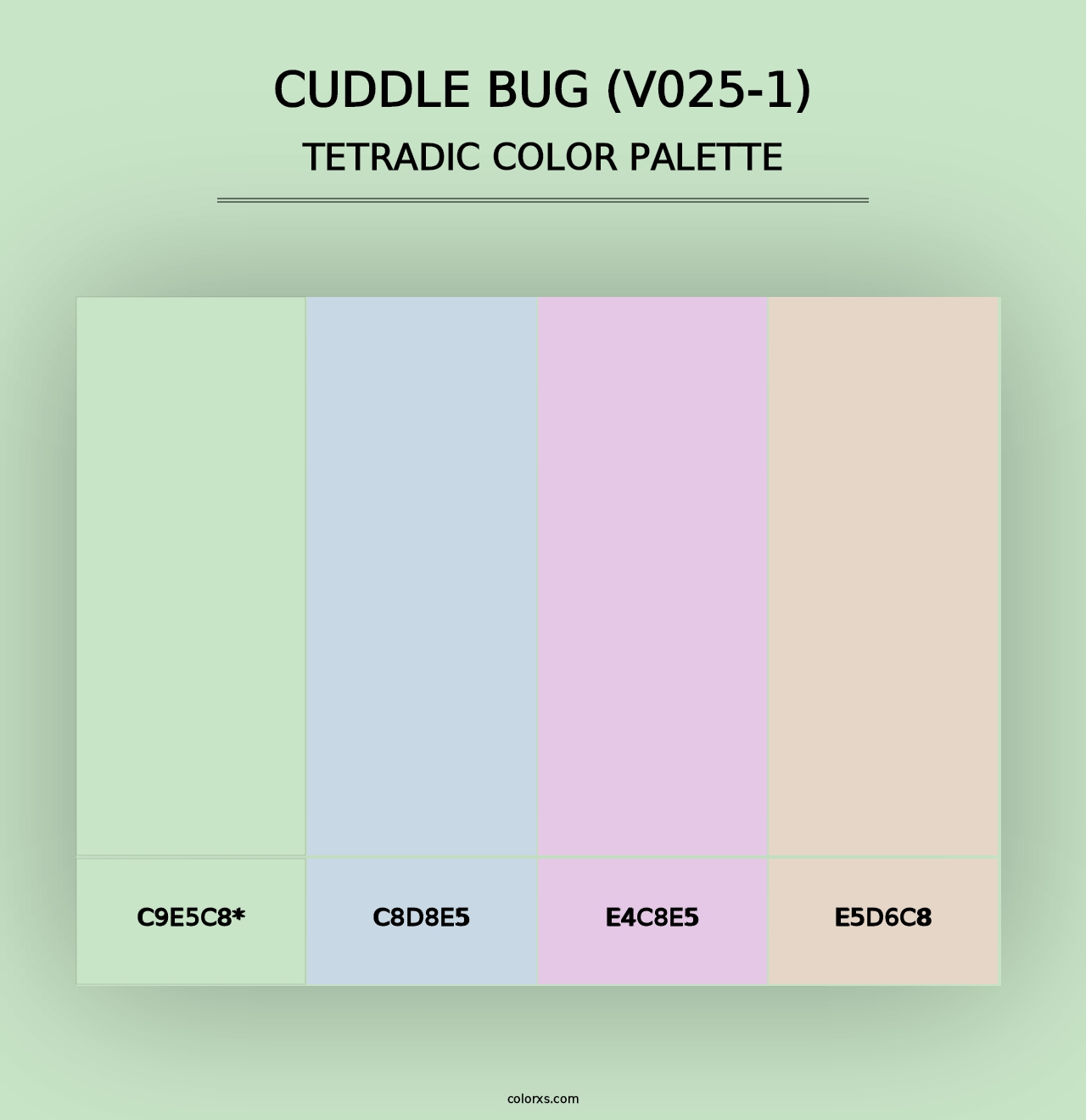 Cuddle Bug (V025-1) - Tetradic Color Palette