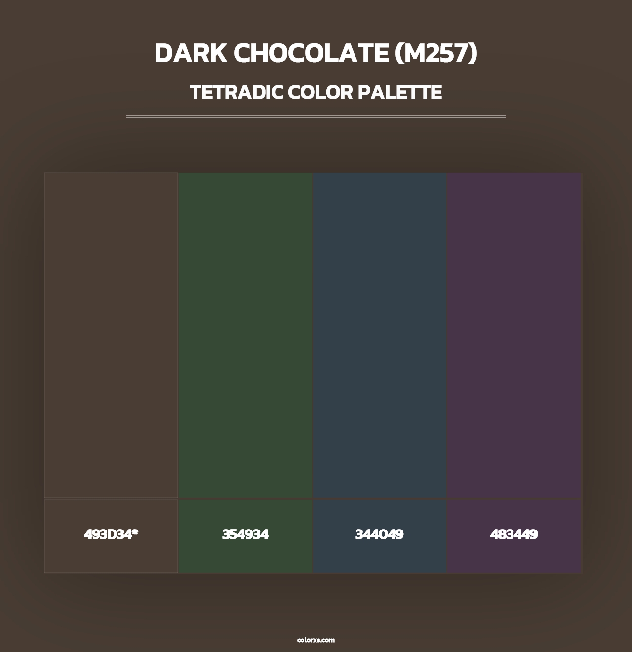 Dark Chocolate (M257) - Tetradic Color Palette