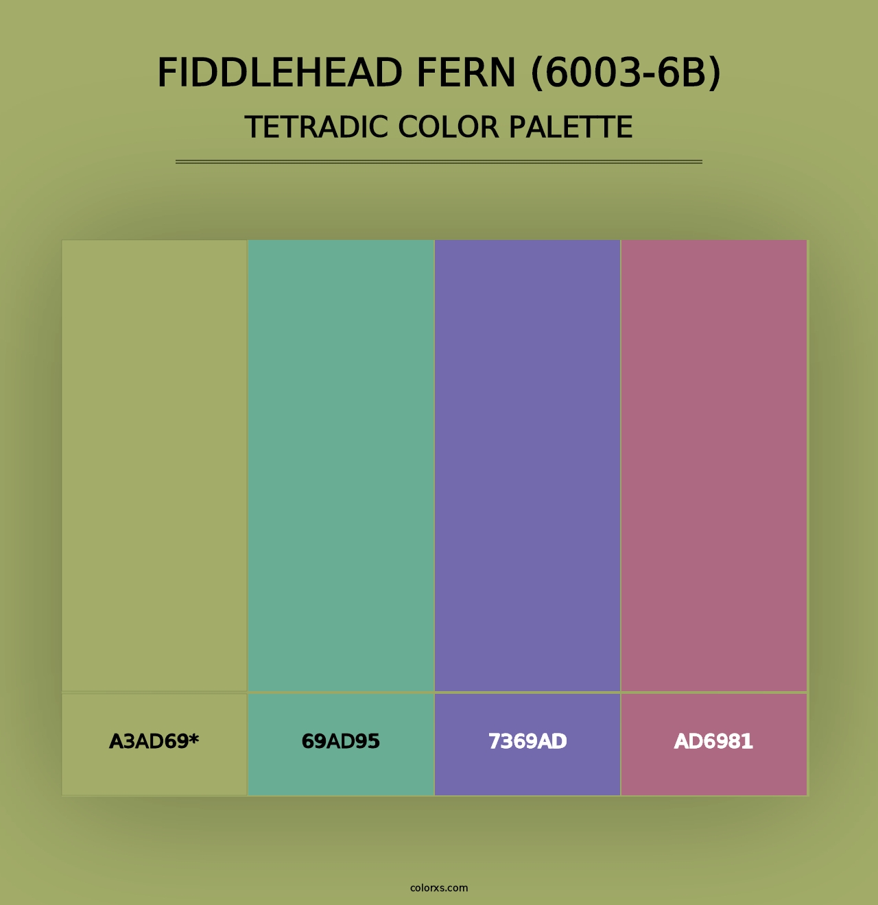 Fiddlehead Fern (6003-6B) - Tetradic Color Palette