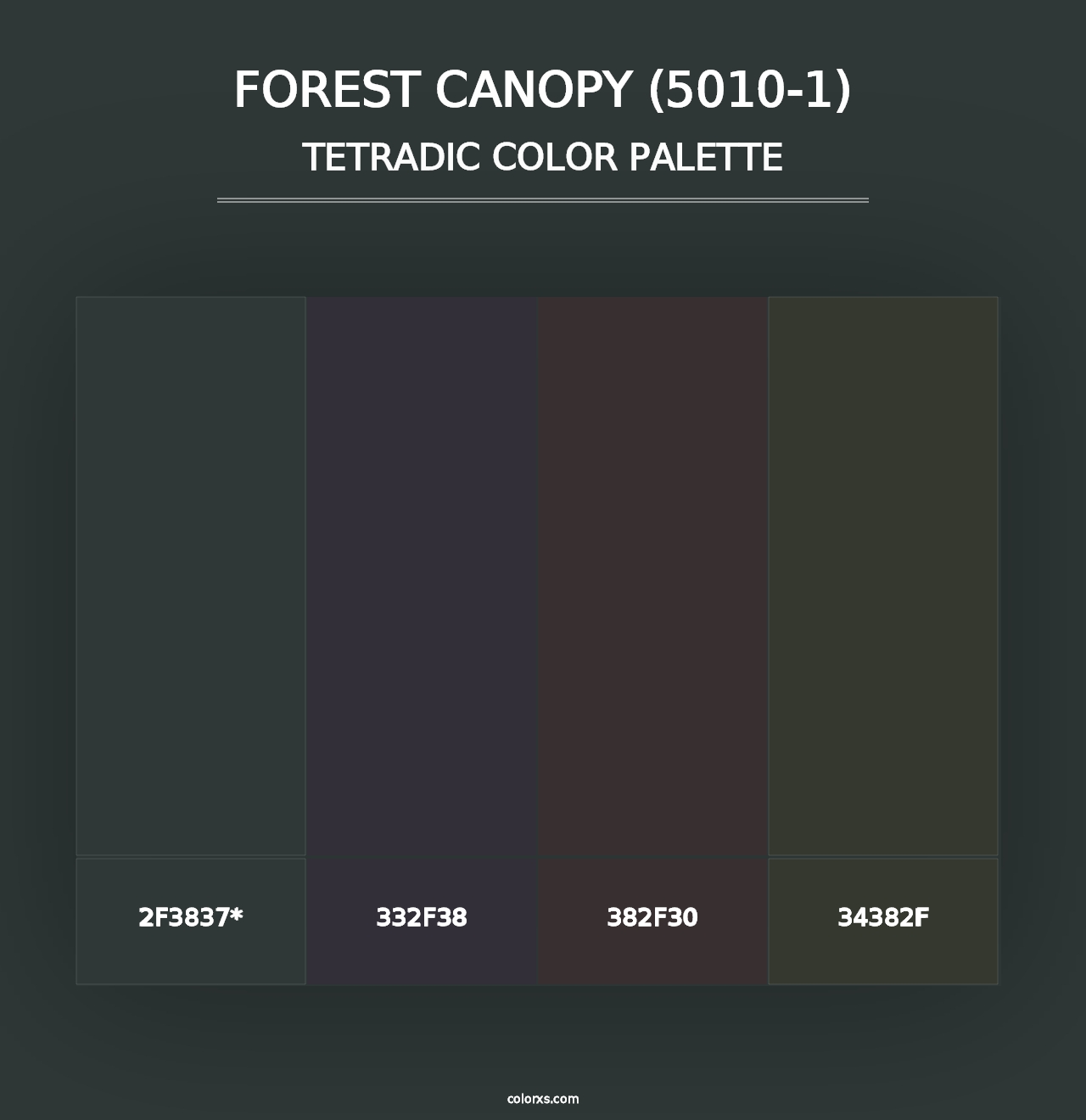 Forest Canopy (5010-1) - Tetradic Color Palette