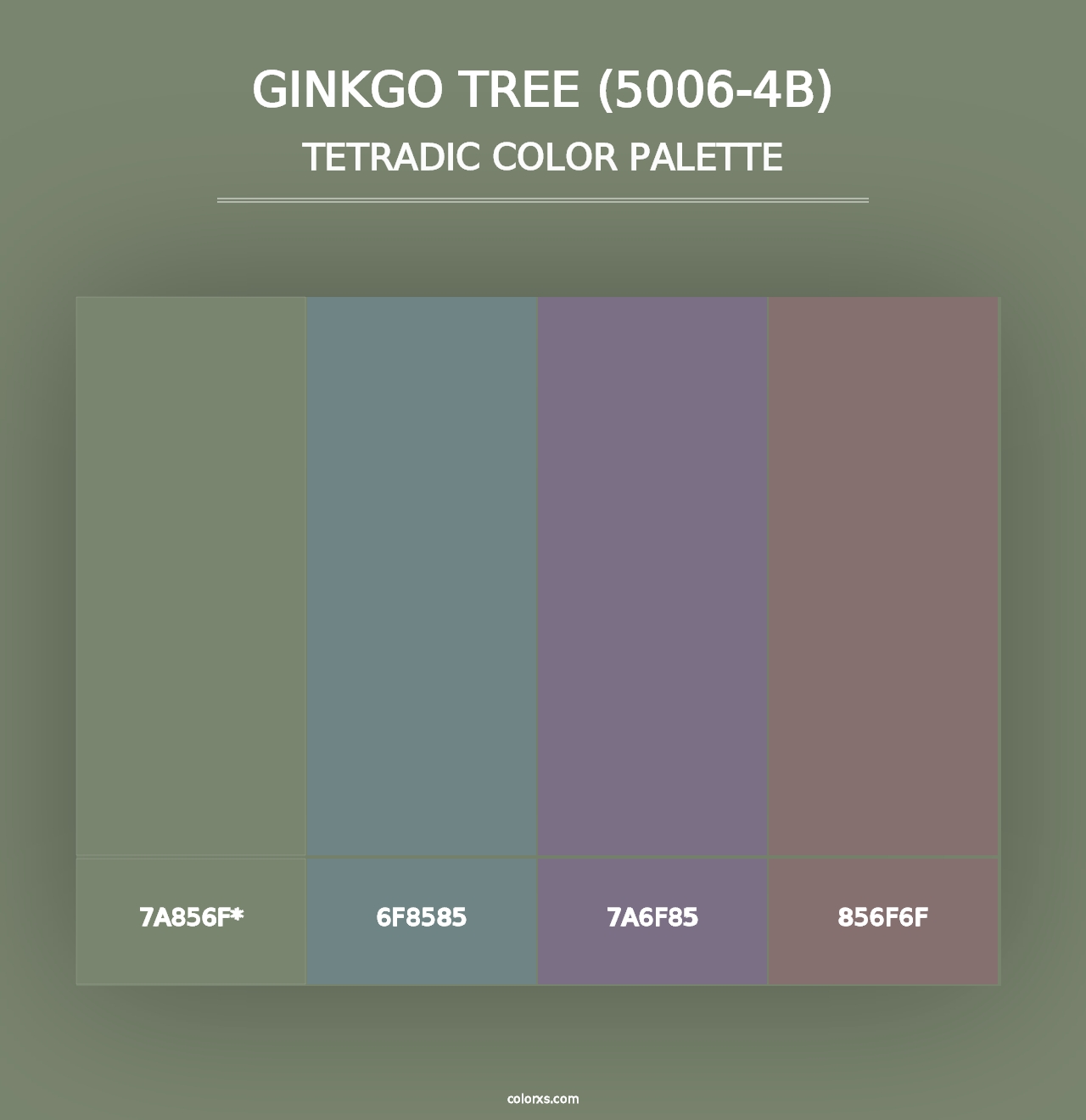 Ginkgo Tree (5006-4B) - Tetradic Color Palette