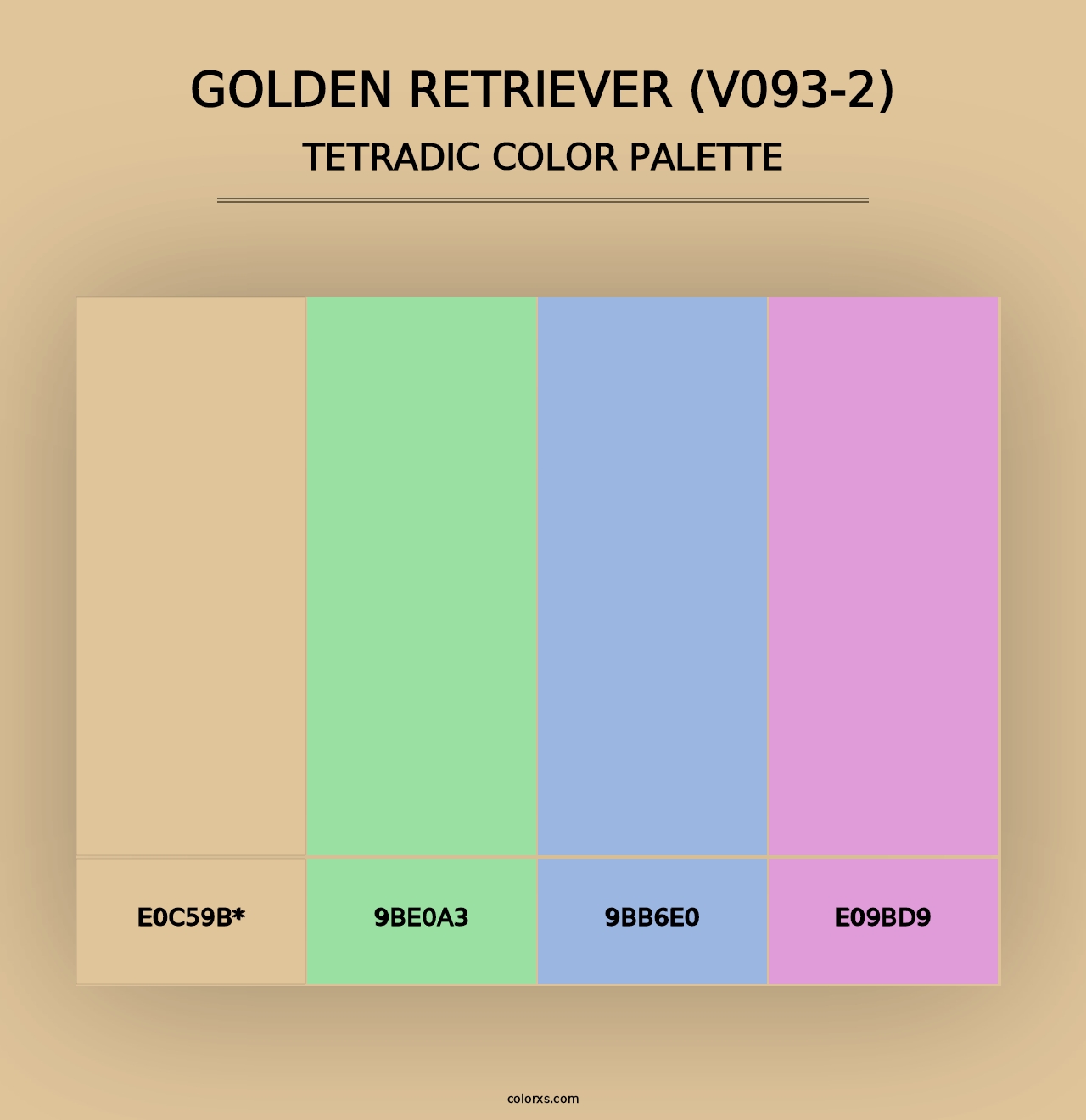 Golden Retriever (V093-2) - Tetradic Color Palette