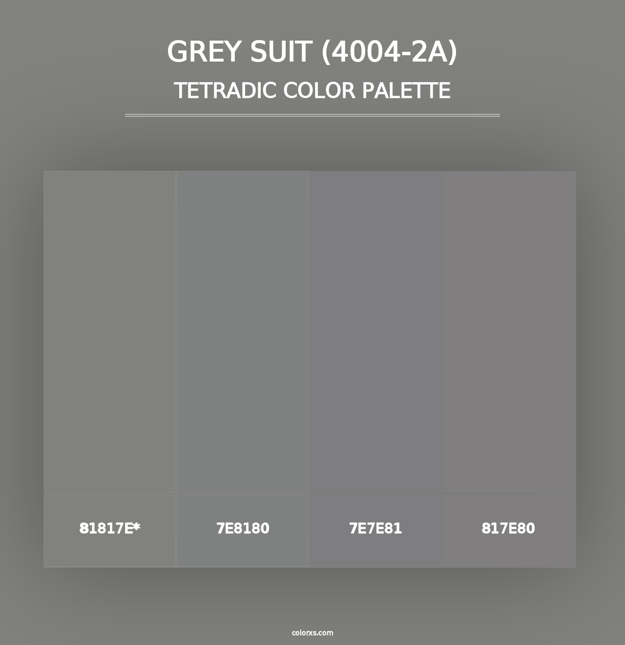 Grey Suit (4004-2A) - Tetradic Color Palette