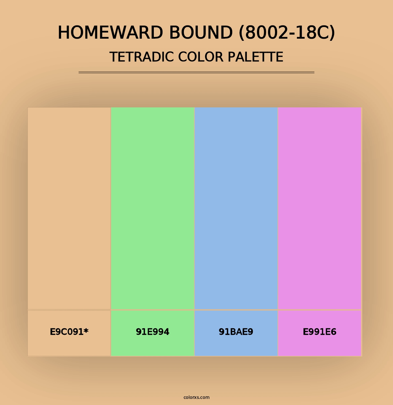 Homeward Bound (8002-18C) - Tetradic Color Palette