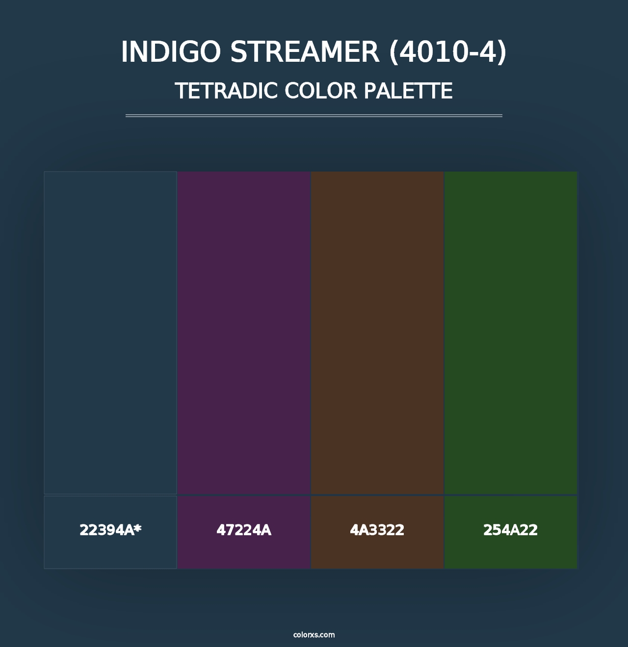 Indigo Streamer (4010-4) - Tetradic Color Palette