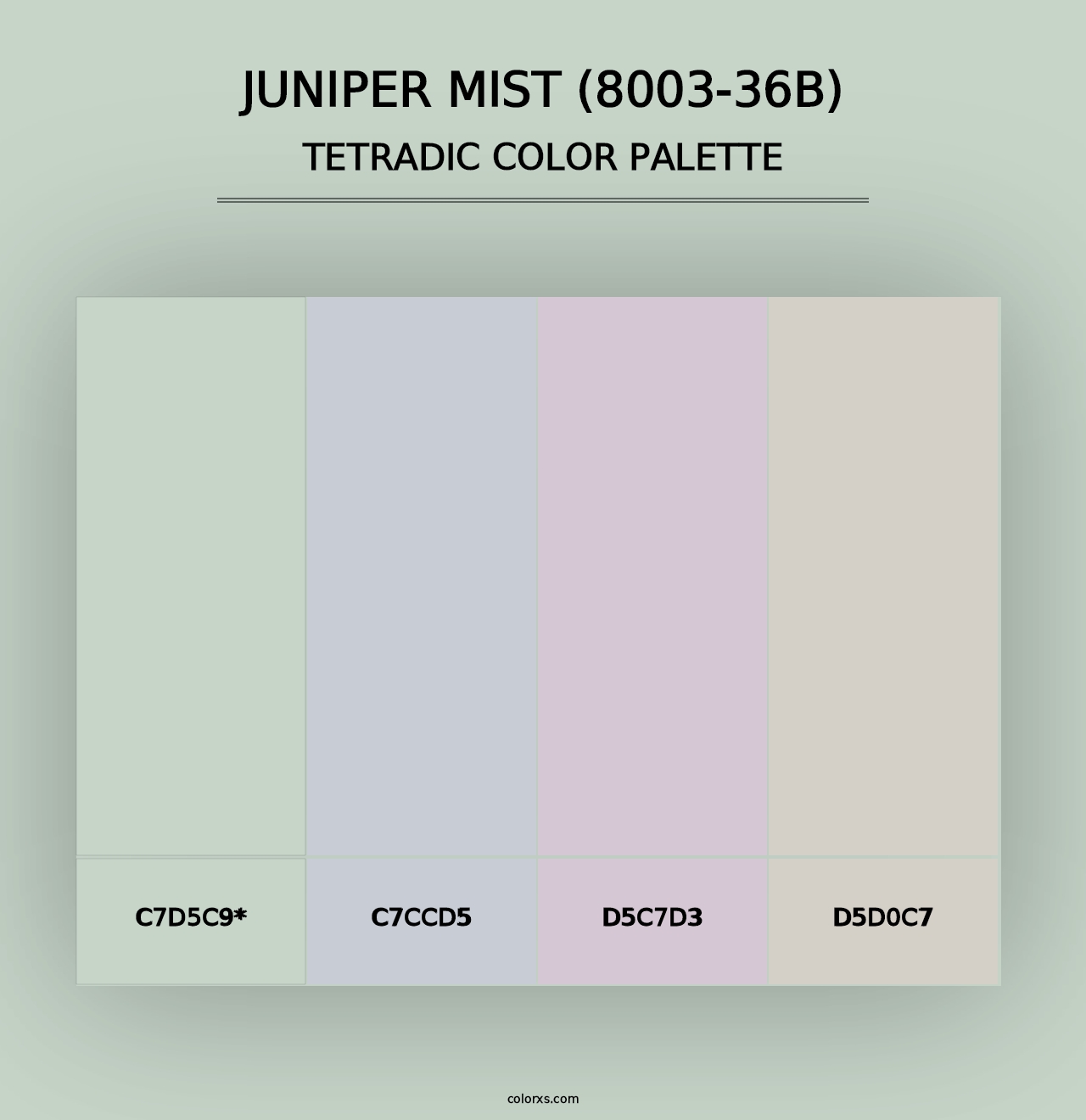 Juniper Mist (8003-36B) - Tetradic Color Palette