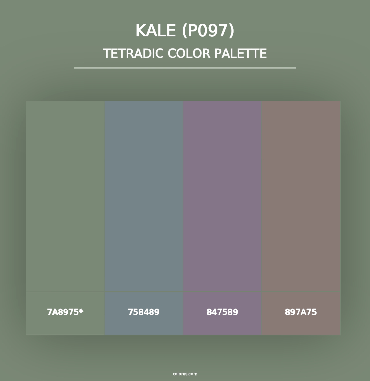 Kale (P097) - Tetradic Color Palette