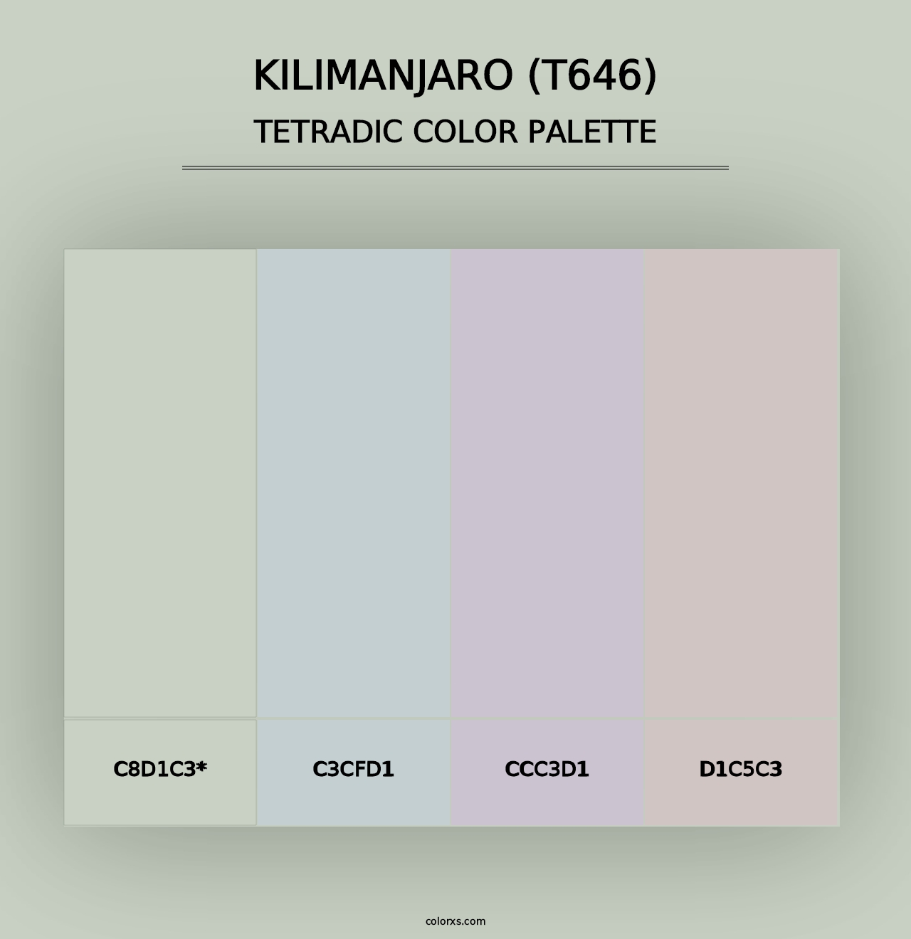 Kilimanjaro (T646) - Tetradic Color Palette