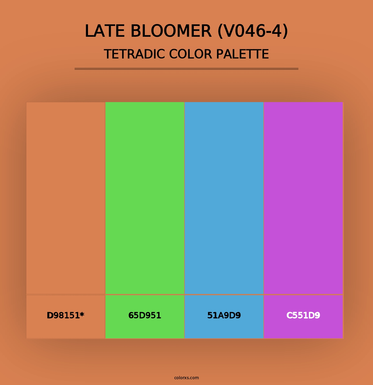 Late Bloomer (V046-4) - Tetradic Color Palette