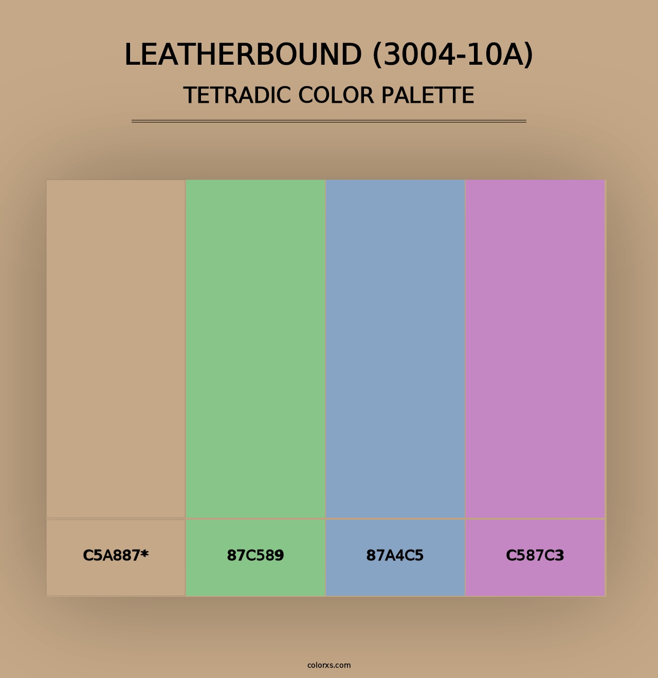 Leatherbound (3004-10A) - Tetradic Color Palette