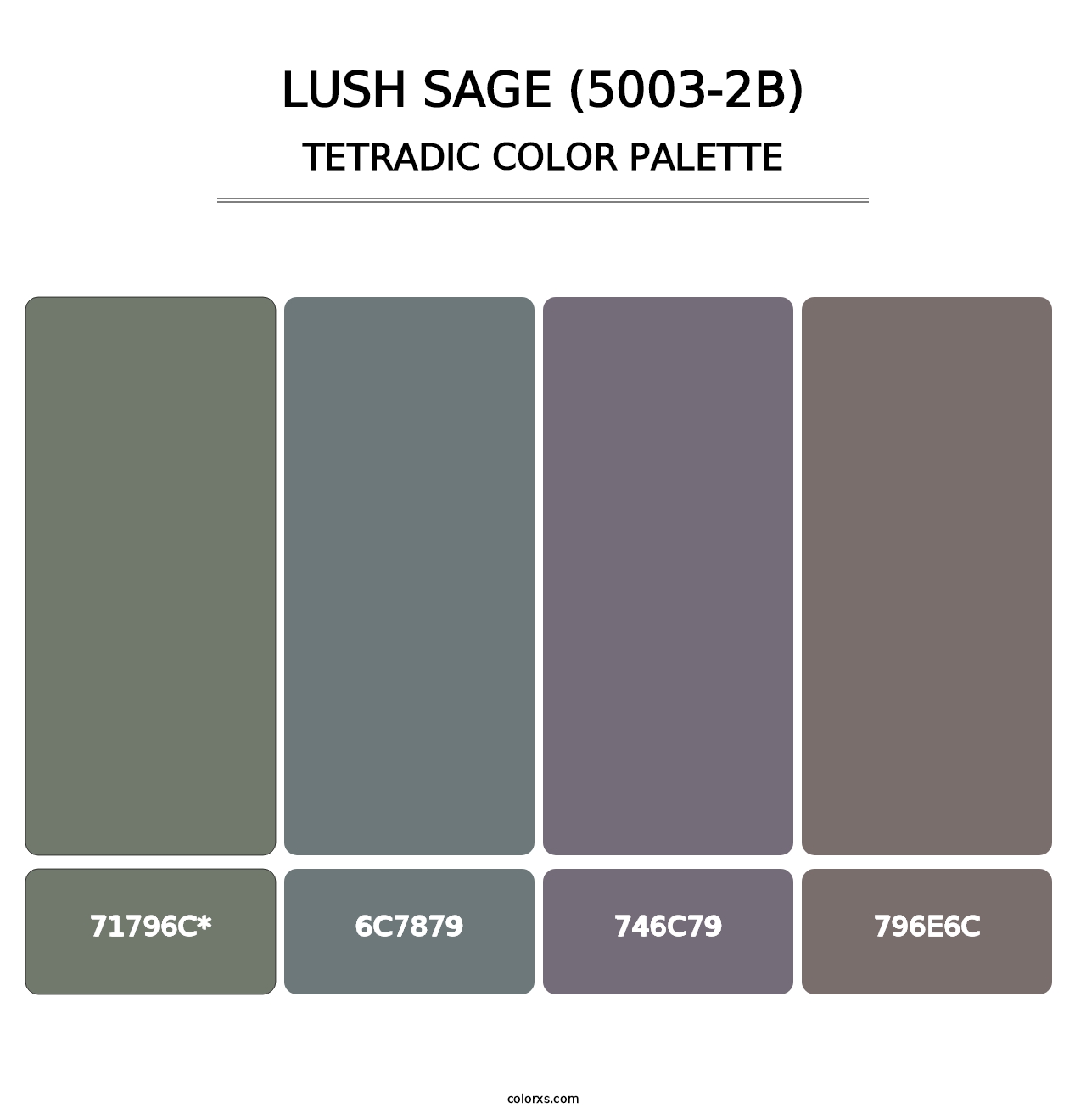 Lush Sage (5003-2B) - Tetradic Color Palette