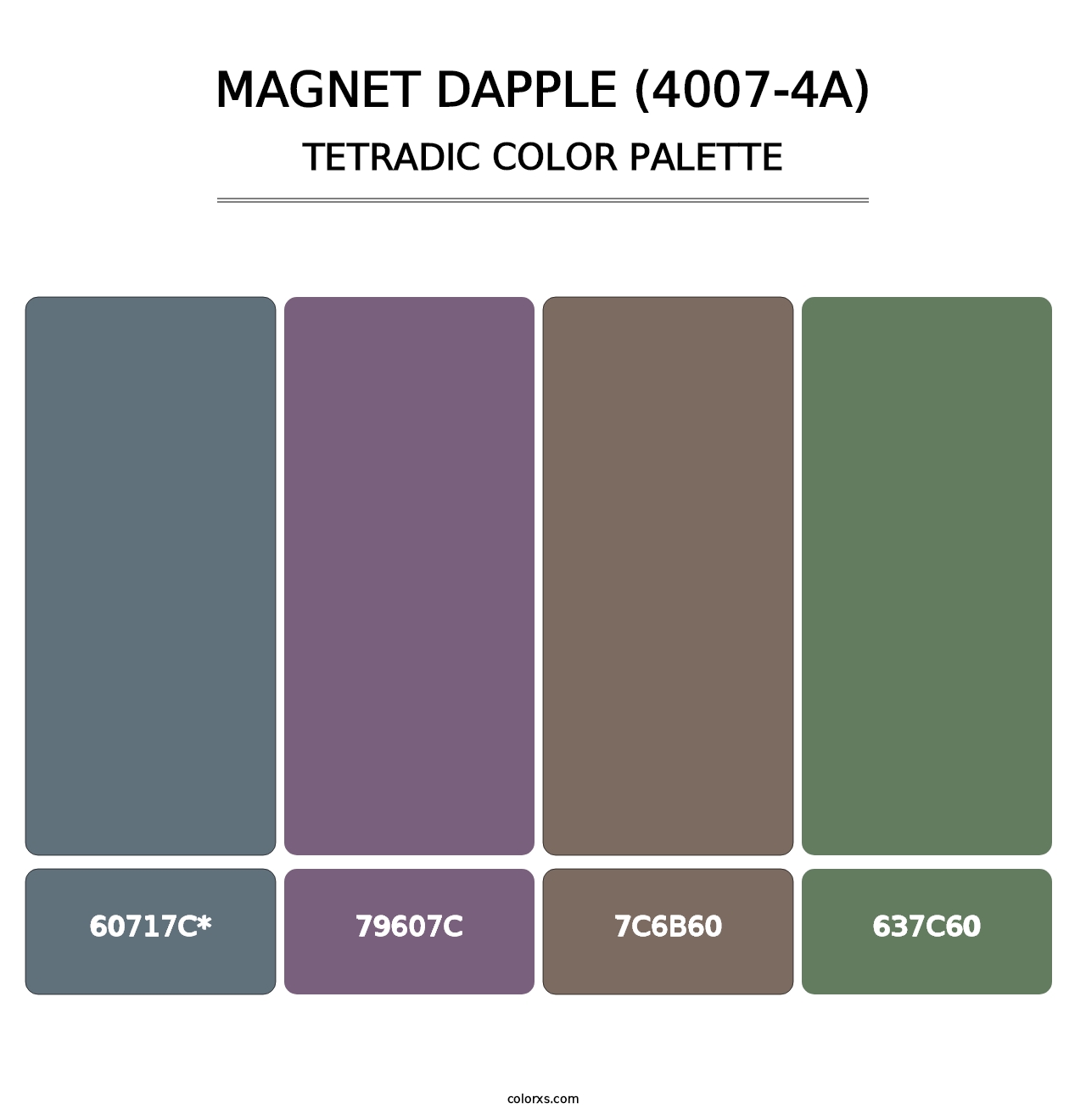 Magnet Dapple (4007-4A) - Tetradic Color Palette