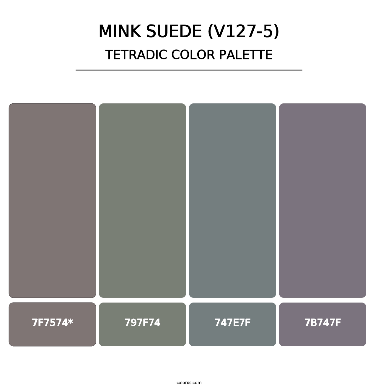 Mink Suede (V127-5) - Tetradic Color Palette