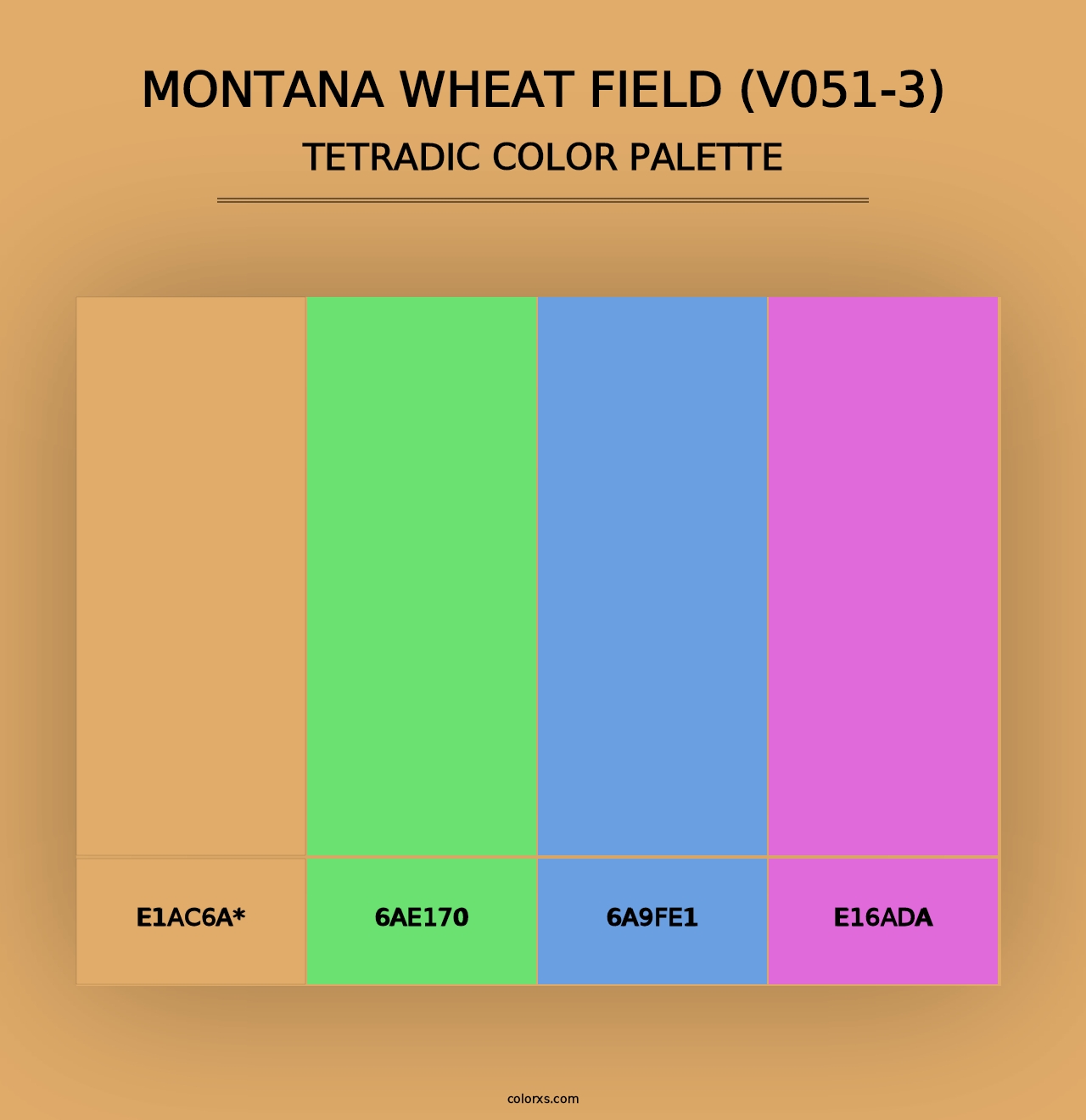 Montana Wheat Field (V051-3) - Tetradic Color Palette