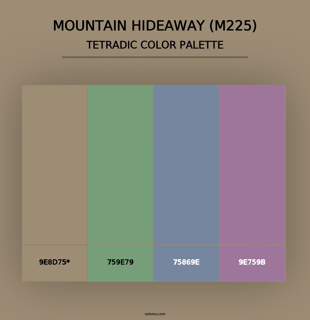 Mountain Hideaway (M225) - Tetradic Color Palette