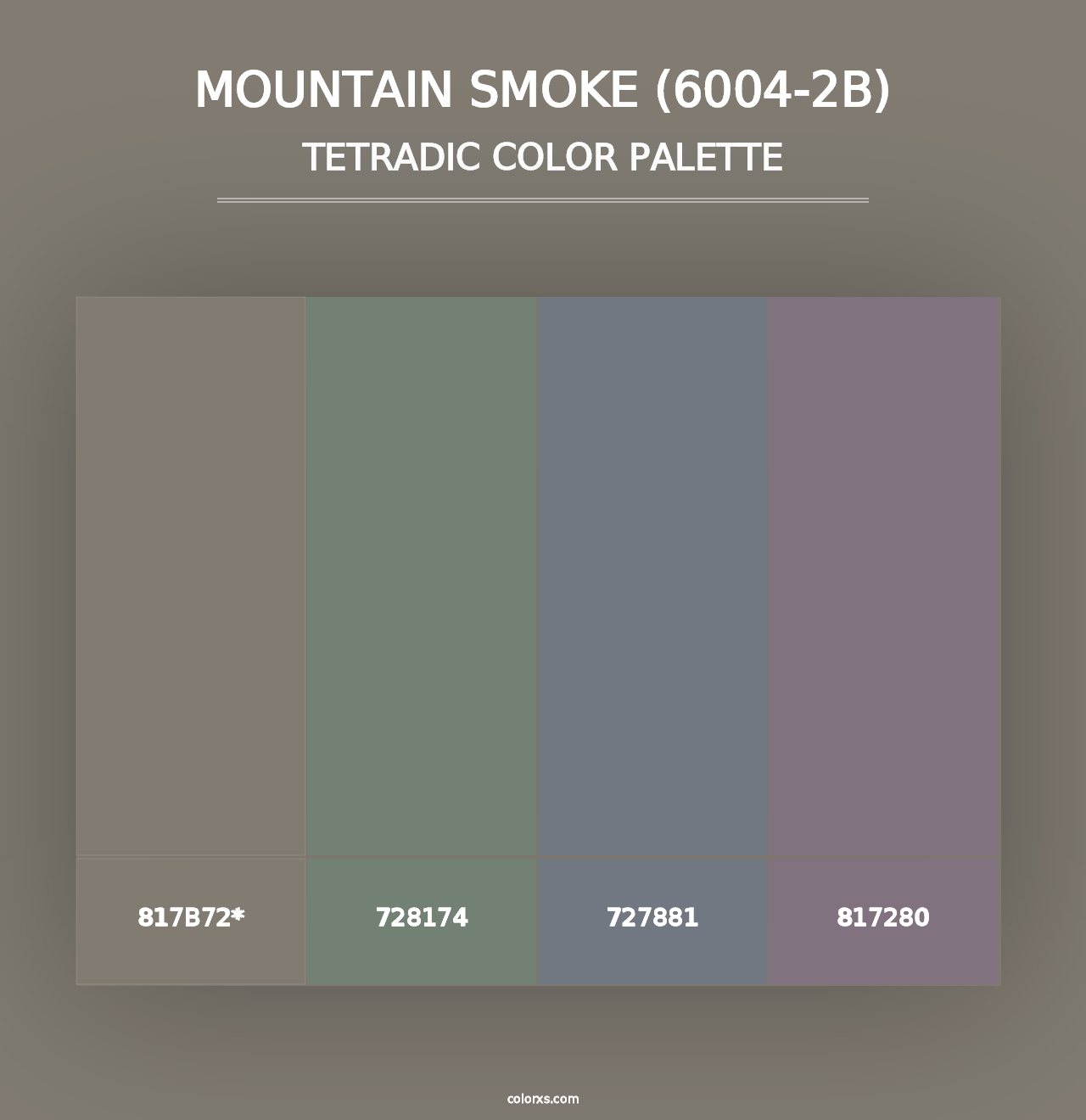 Mountain Smoke (6004-2B) - Tetradic Color Palette