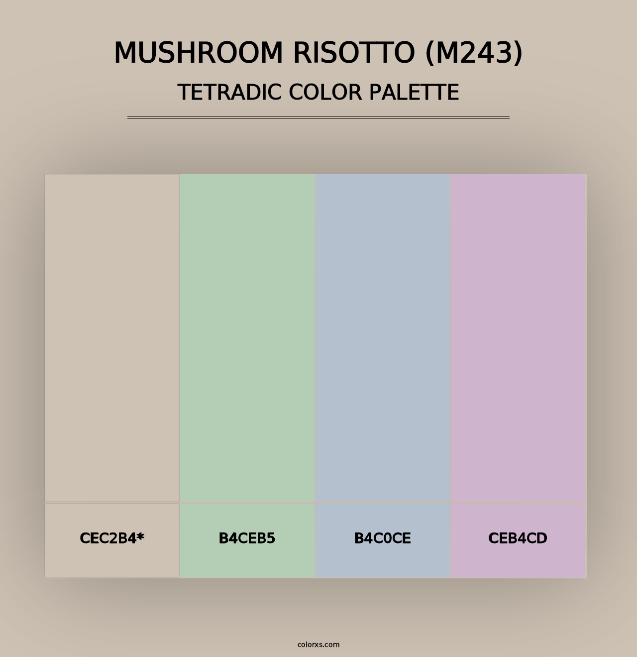 Mushroom Risotto (M243) - Tetradic Color Palette