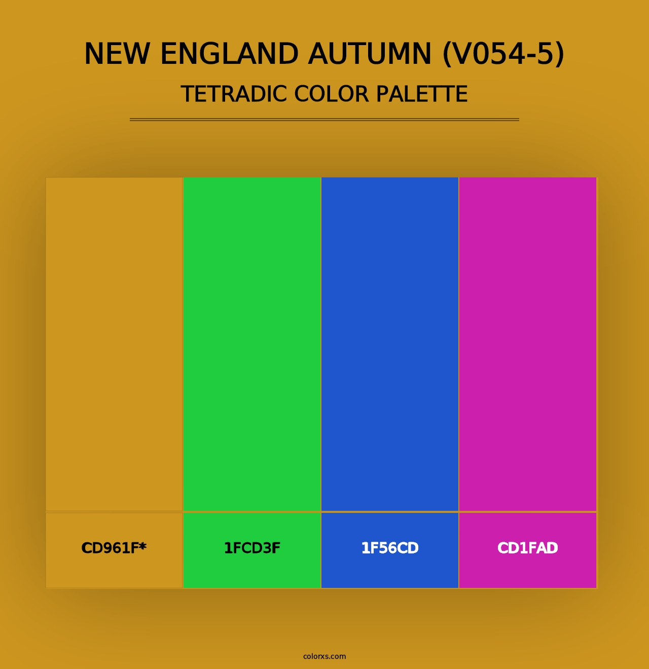 New England Autumn (V054-5) - Tetradic Color Palette