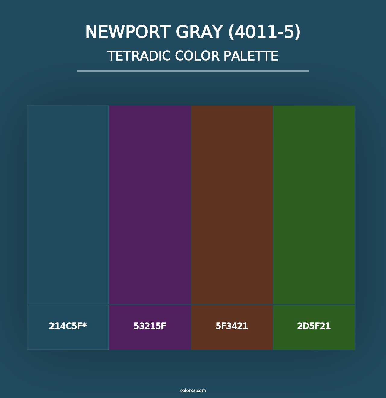 Newport Gray (4011-5) - Tetradic Color Palette