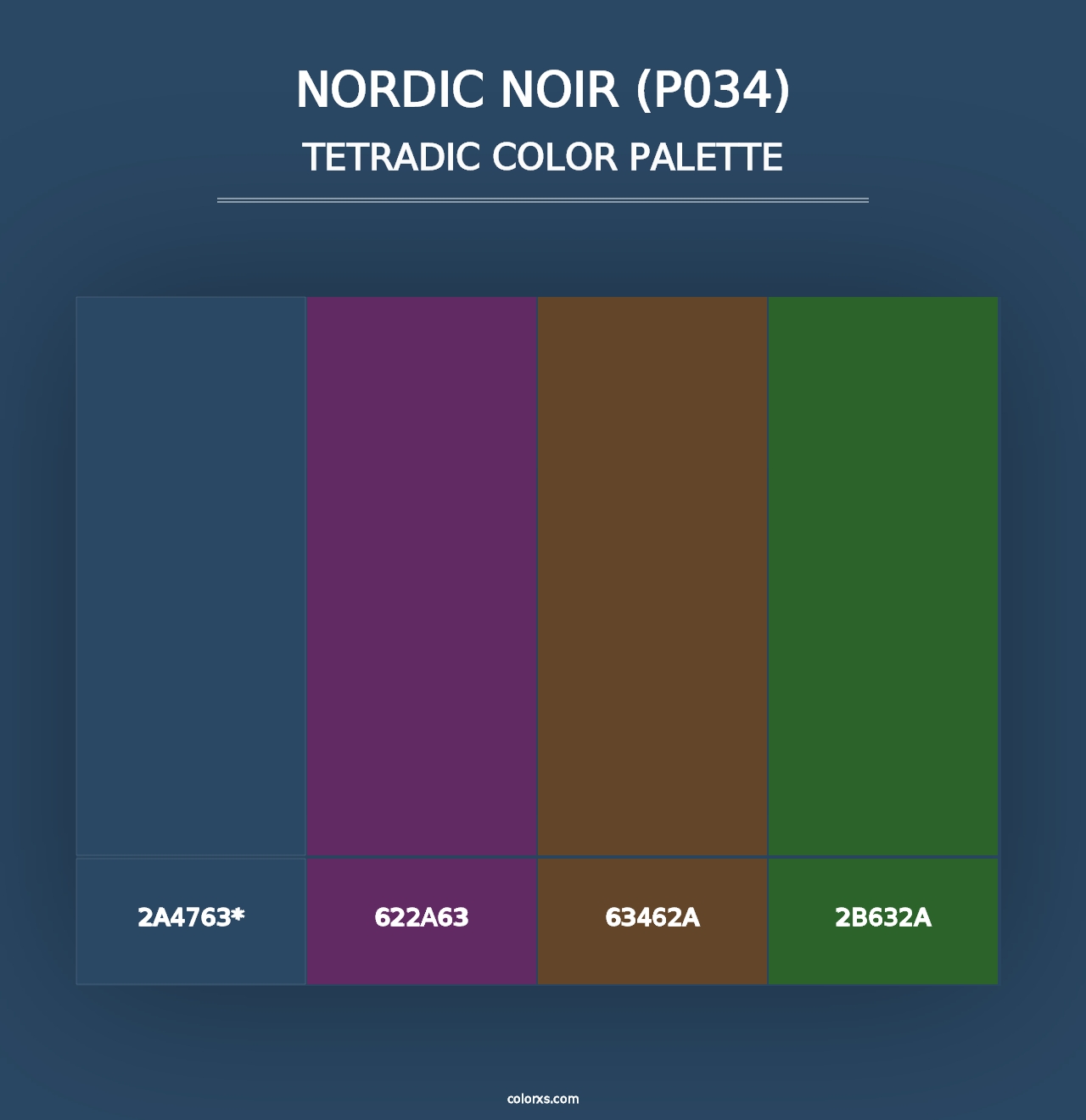 Nordic Noir (P034) - Tetradic Color Palette