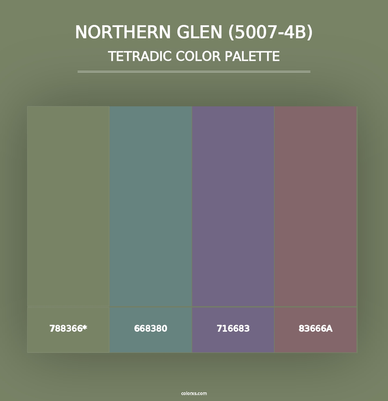 Northern Glen (5007-4B) - Tetradic Color Palette