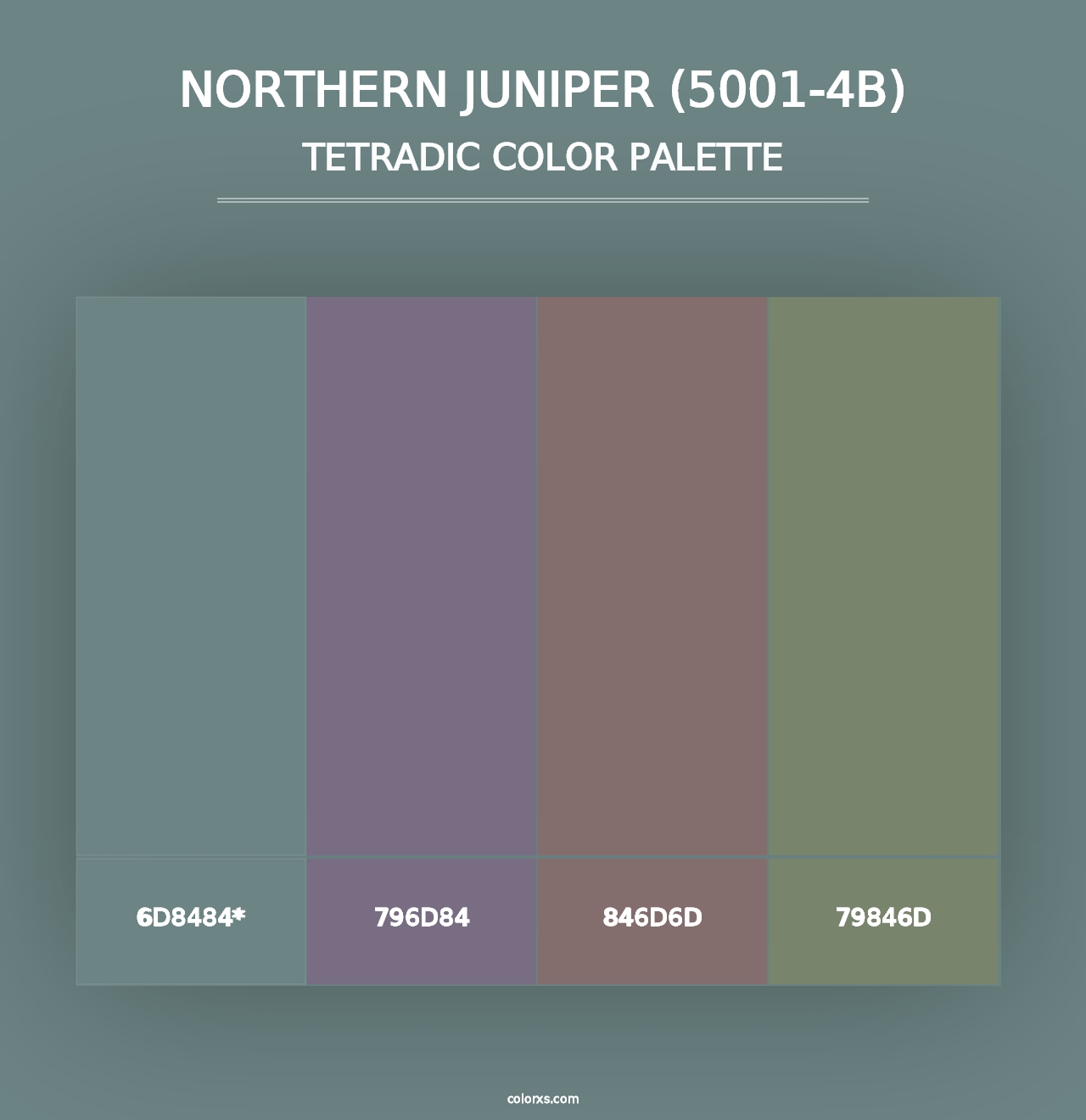 Northern Juniper (5001-4B) - Tetradic Color Palette