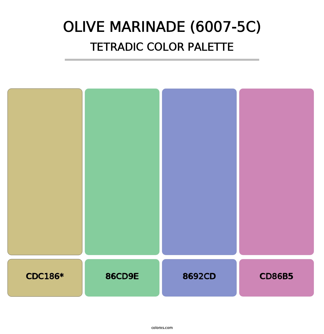 Olive Marinade (6007-5C) - Tetradic Color Palette