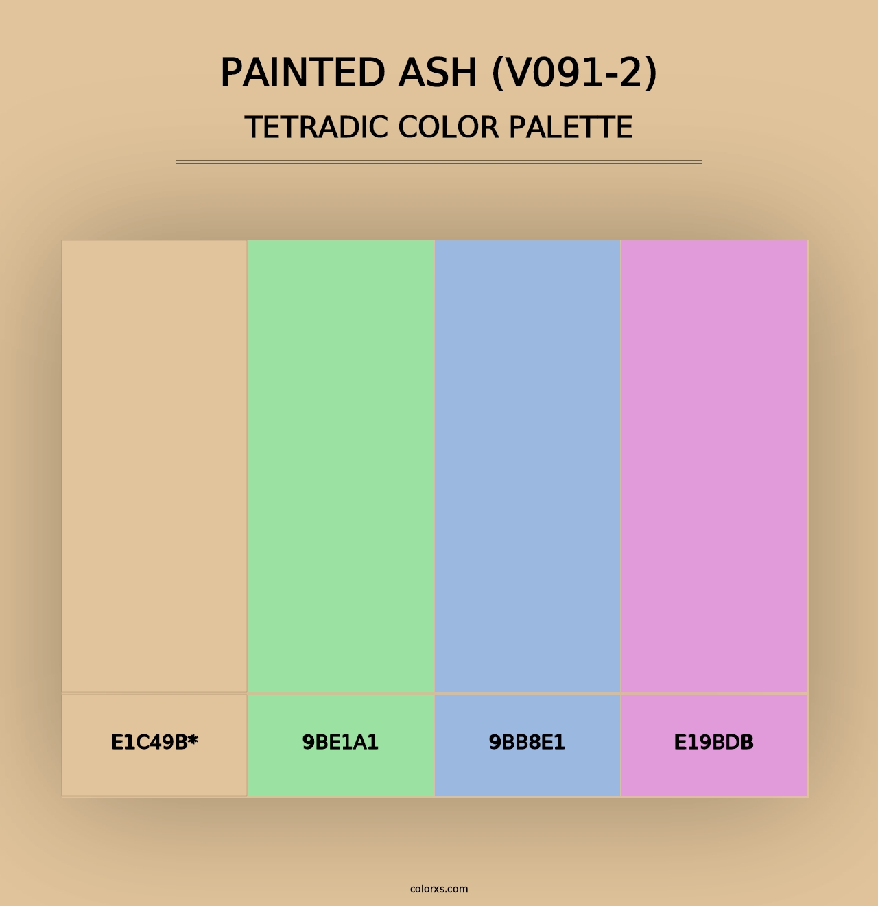 Painted Ash (V091-2) - Tetradic Color Palette