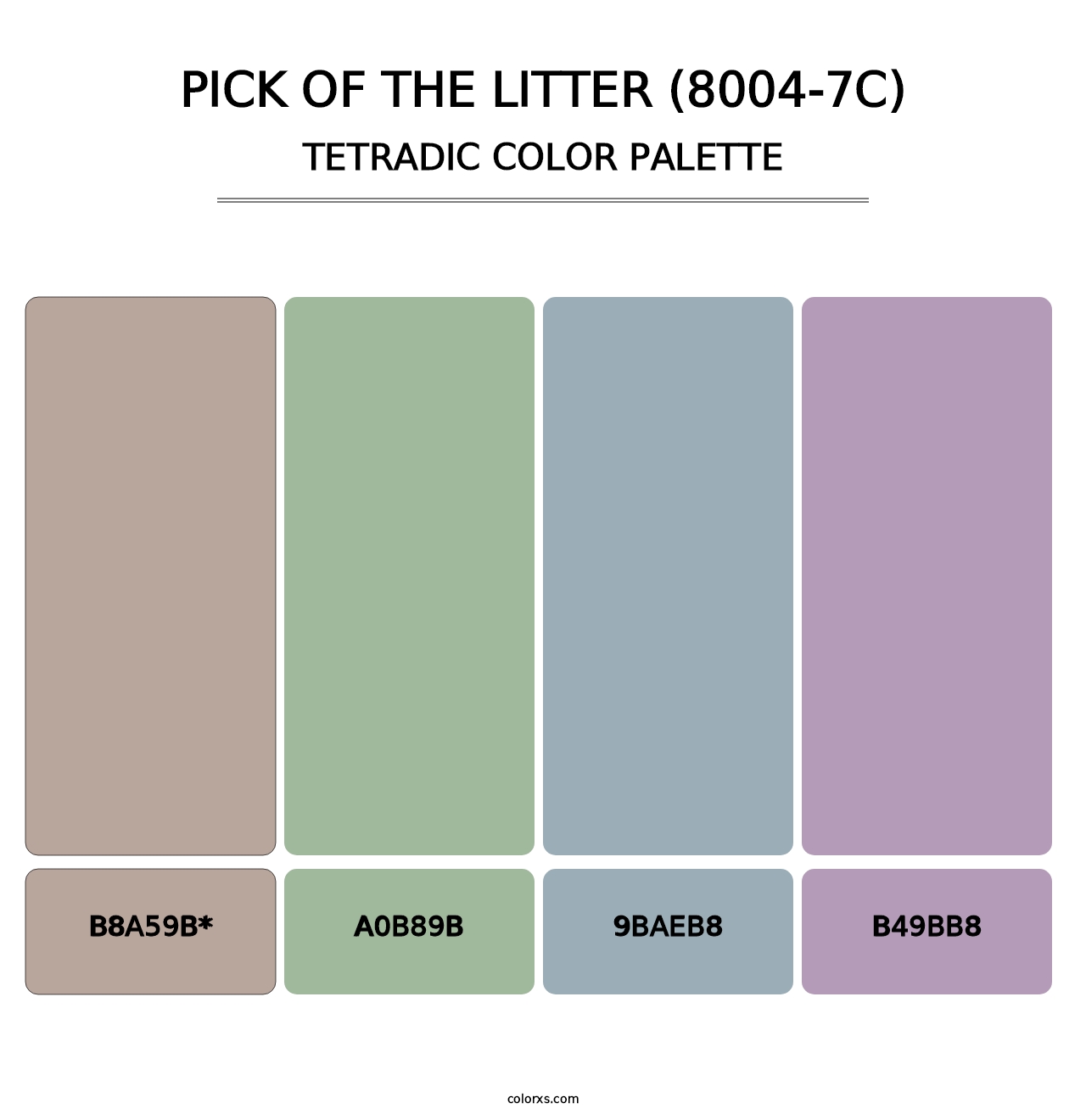 Pick of the Litter (8004-7C) - Tetradic Color Palette