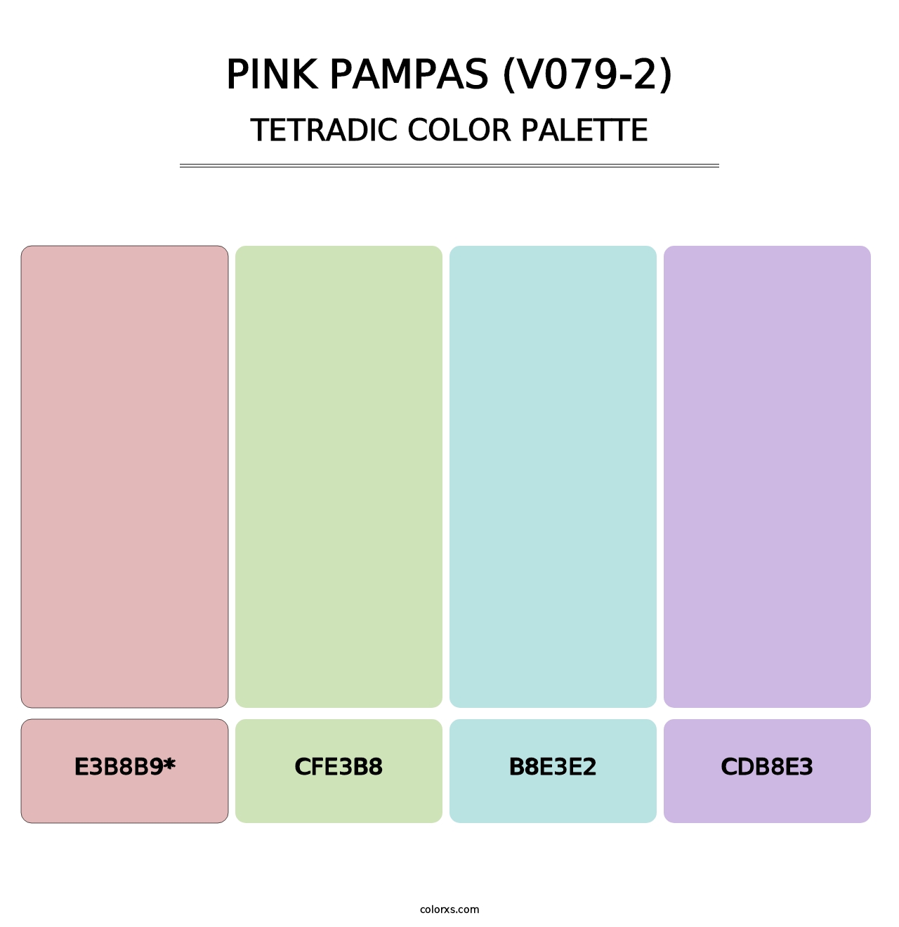 Pink Pampas (V079-2) - Tetradic Color Palette