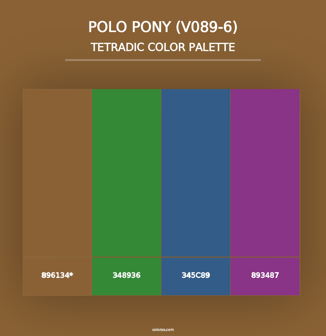 Polo Pony (V089-6) - Tetradic Color Palette