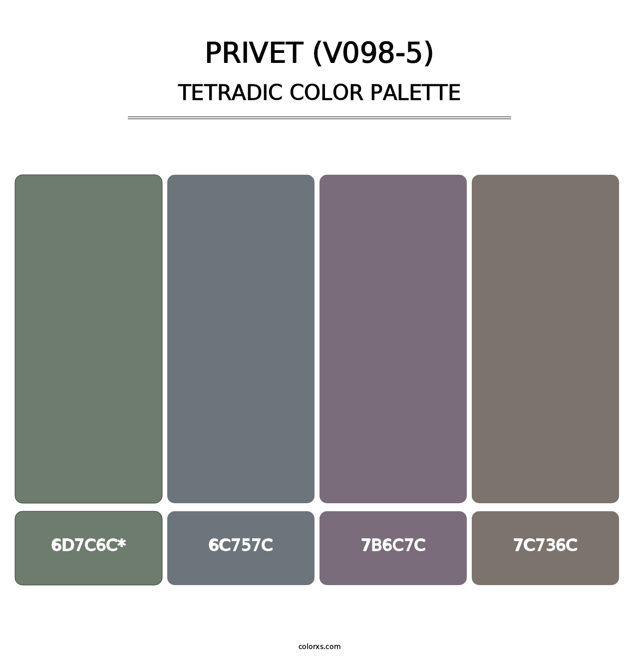 Privet (V098-5) - Tetradic Color Palette