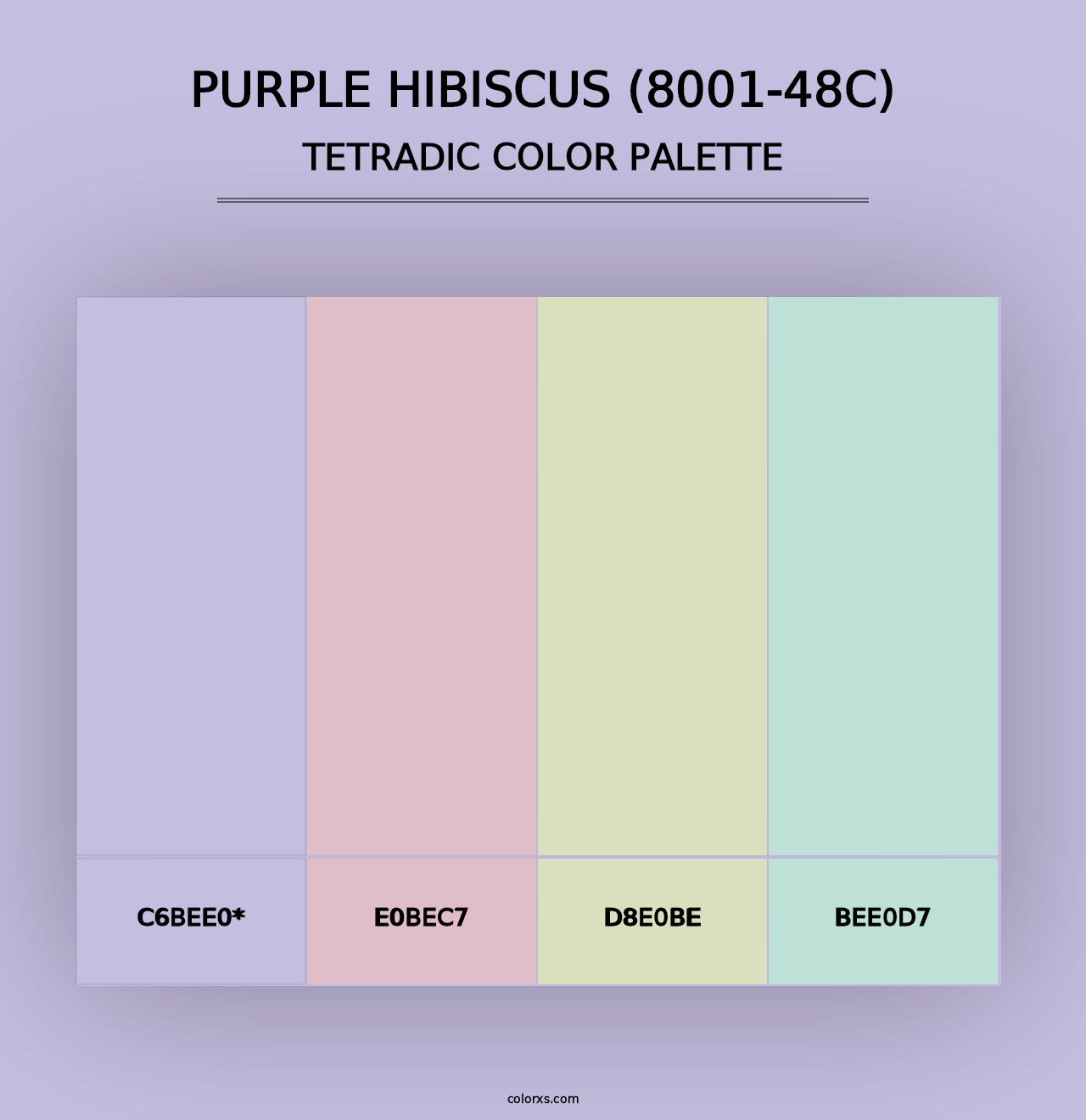 Purple Hibiscus (8001-48C) - Tetradic Color Palette